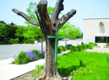 a green wooden cross is nailed to a dead tree outside a church