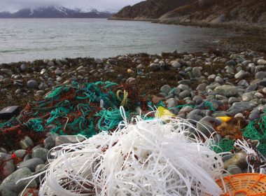 Marine litter. One winters worth. Lots of fishing gear.