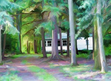 cottage in forest art