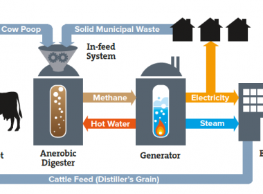 The virtuous loop: manure used to provide methane to a power generator