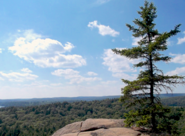 Algonquin Park. Photo by Dan Beare.