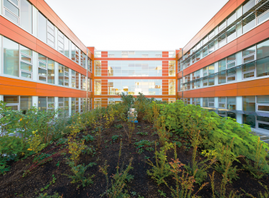 UBC green roof by Don Earhardt in A\J AlternativesJournal.ca